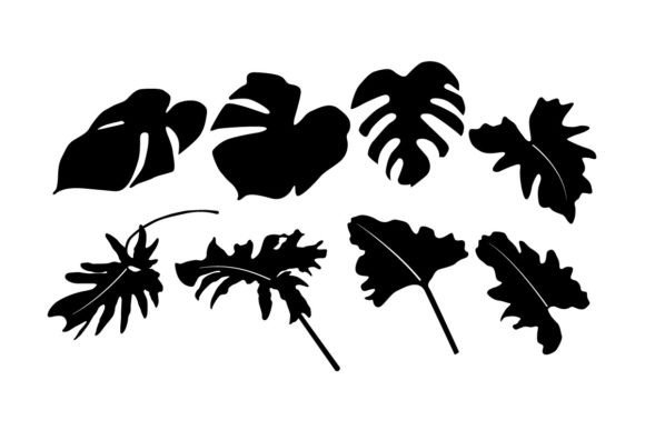 Monstera Deliciosa Design SVG Vector for Blog Graphics and Freebies