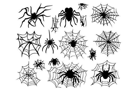 Spider Web Vector for Crafts and Graphics
