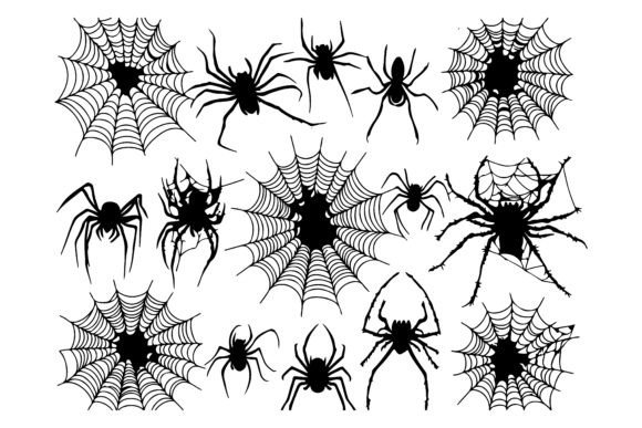 Spider Web Vector for Local Business Branding