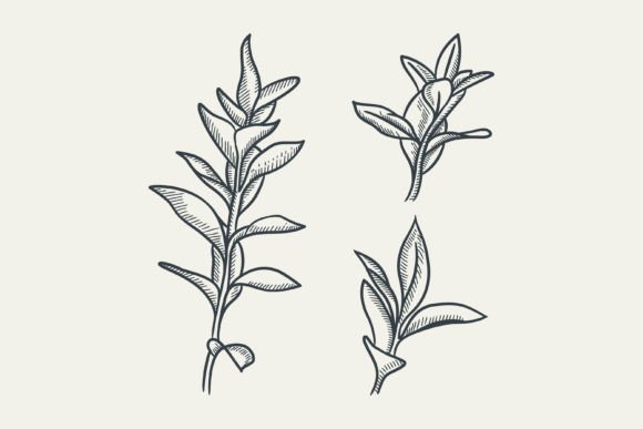 Tree Tribal Element Graphics for Web Elements