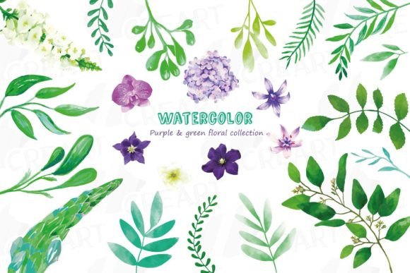 Watercolor Floral Clip Art 23 Elements Review