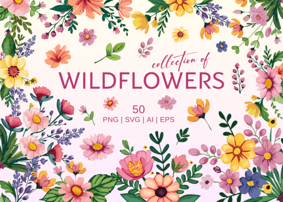 Wild Flowers PNG and Vector Graphics for Crafting
